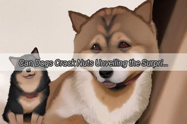 Can Dogs Crack Nuts Unveiling the Surprising Truth About Mans Best Friends Nutty Abilities